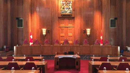 Court Representation