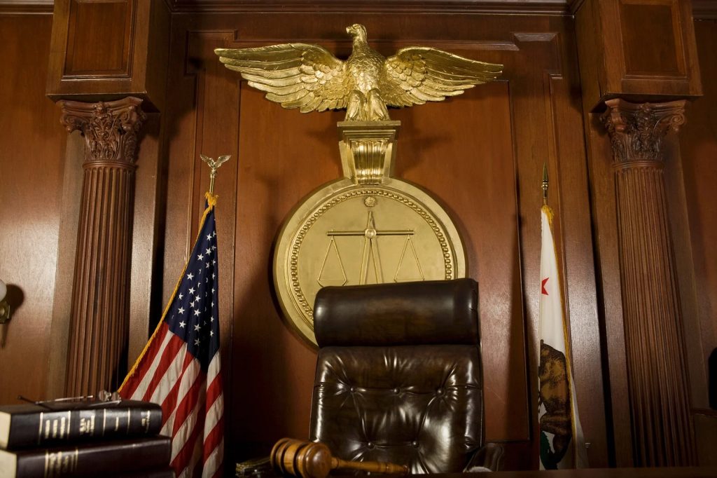Court Representation